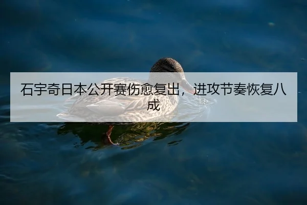 石宇奇日本公开赛伤愈复出，进攻节奏恢复八成