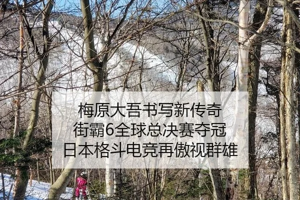 mei-yuan-da-wu-shu-xie-xin-chuan-qi-jie-ba-quan-qiu-zong-jue-sai-duo-guan-ri-ben-ge-dou-dian-jing-zai-ao-shi-qun-xiong-2-872.jpg